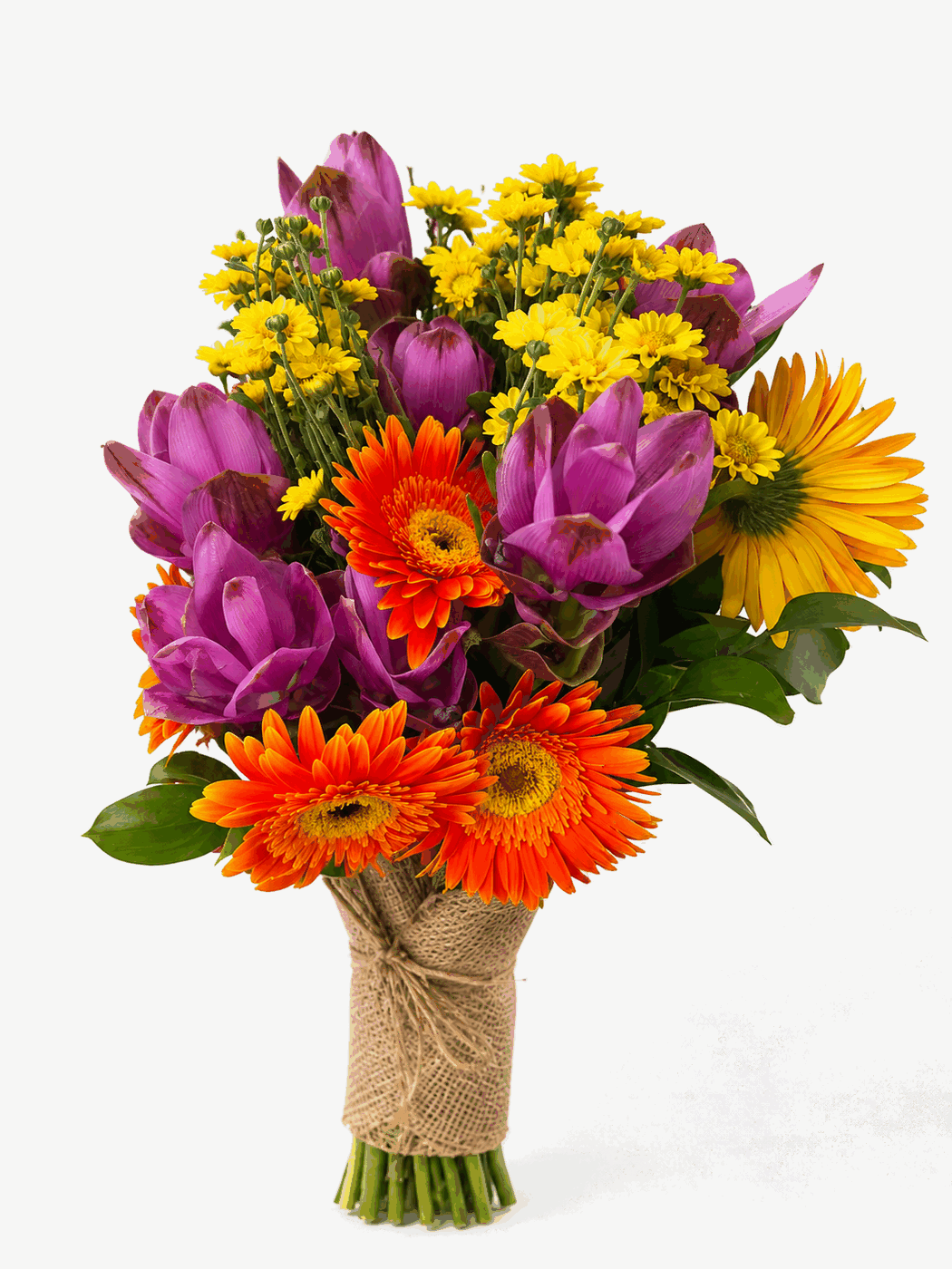 Buquê Tropical G - Tulipas, gérberas e girassol em mix tropical vibrante, amarrado com barbante natural.