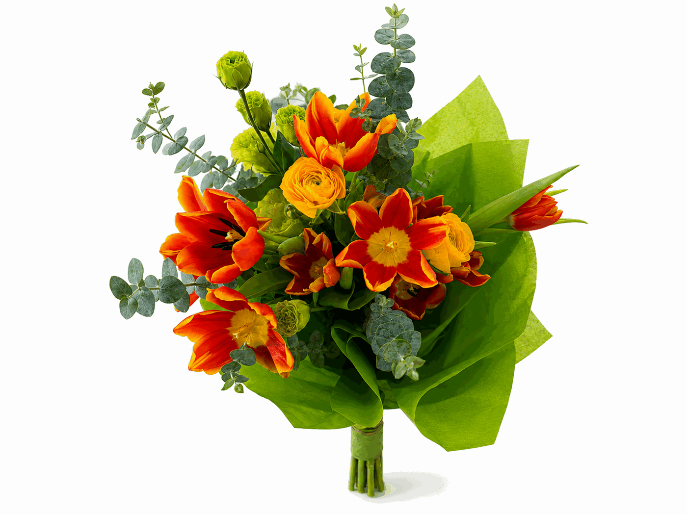 Buquê de Tulipa - Tulipas em laranja e vermelho vibrante, com eucalipto e embrulho verde. Um clássico revisitado.